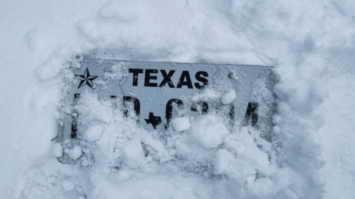 Texas License Plate Covered in Snow